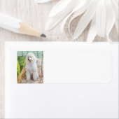 ホワイトスタンダードプードル ラベル (インサイチュ)