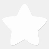 ホワイトスターのシール 星シール (正面)