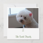 ホワイトスターズ写真クリスマスカード カード (裏面)