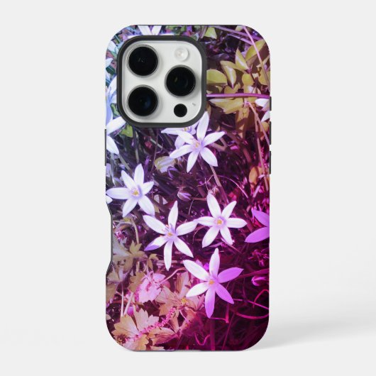 ホワイトスターフラワーiPhoneケース iPhoneケース (裏面)