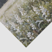 ホワイトスターワートバーンデクページ 薄葉紙 (詳細)