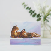 ホワイトステップ虎猫 ポストカード (スタンド正面)