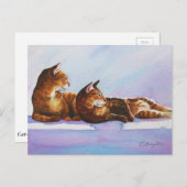 ホワイトステップ虎猫 ポストカード (正面/裏面)