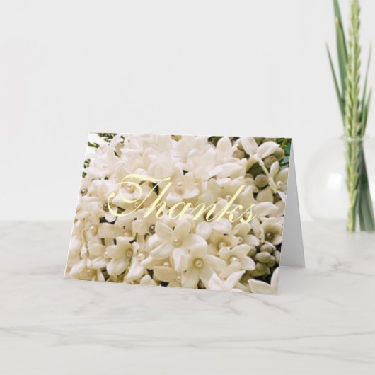ホワイトステファノティスフローラサンキューノート サンキューカード (正面)