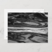 ホワイトストライプ ポストカード (正面/裏面)