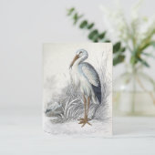 ホワイトストークヴィンテージバードイラストレーション ポストカード (スタンド正面)