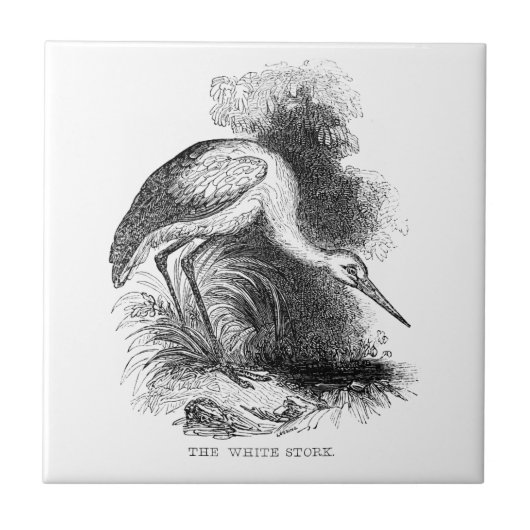 ホワイトストークヴィンテージ鳥野獣スケッチ タイル (正面)