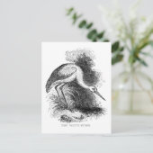 ホワイトストークヴィンテージ鳥野獣スケッチ ポストカード (スタンド正面)