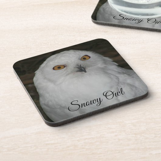 ホワイトスノーウィークフクロウ撮影飲料用コースター コースター (左側)