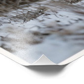 ホワイトスノータイガー フォトプリント            (角)