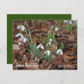 ホワイトスノードロップお祝い日付の保存 シーズンカード (正面/裏面)