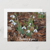 ホワイトスノードロップお祝い考えズオブユー ポストカード (正面/裏面)