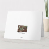 ホワイトスノードロップお祝い誕生日 カード (裏面)