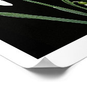 ホワイトスノードロップの春の花を黒いアー素晴らしトに ポスター (角)