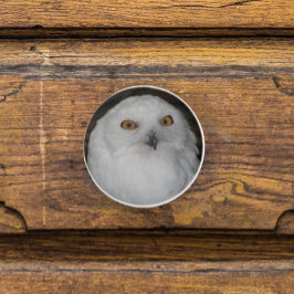ホワイトスノーフクロウ自然写真 セラミックノブ