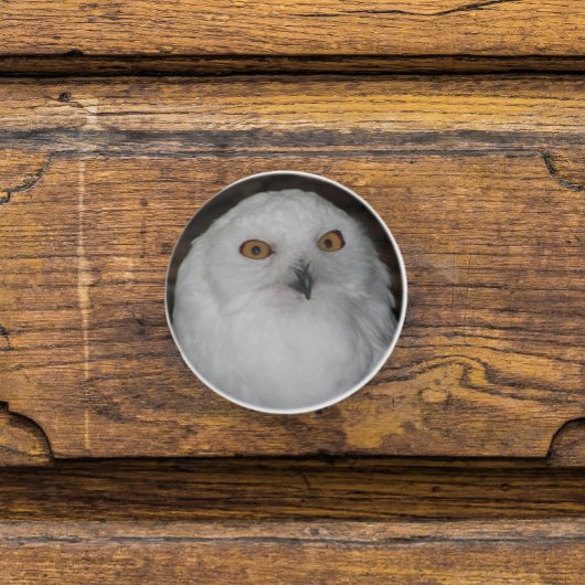 ホワイトスノーフクロウ自然写真 セラミックノブ