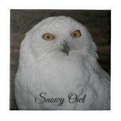 ホワイトスノーフクロウ自然写真 タイル (正面)