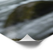 ホワイトスピリットベアキュブワイルドライフアート ポスター (コーナー)