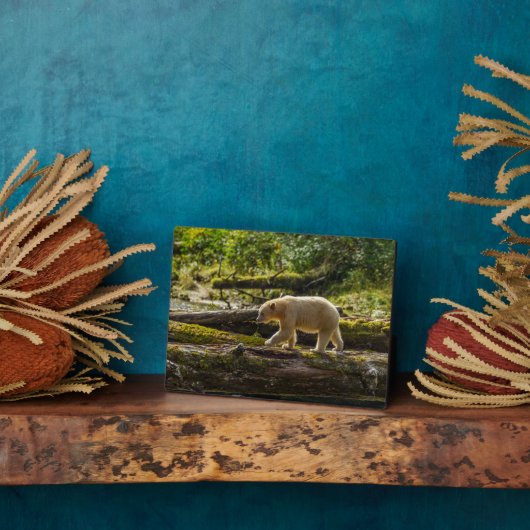 ホワイトスピリットベア狩り フォトプラーク (側面)