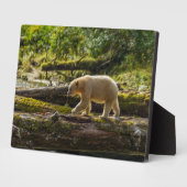 ホワイトスピリットベア狩り フォトプラーク (側面)