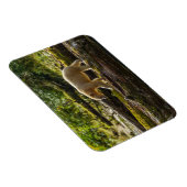 ホワイトスピリットベア狩り マグネット (右側)