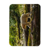 ホワイトスピリットベア狩り マグネット (縦)