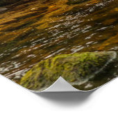 ホワイトスピリットベア狩りfor fish on Riordan Creek ポスター (角)