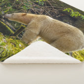 ホワイトスピリットベア シェルパブランケット (3/4)