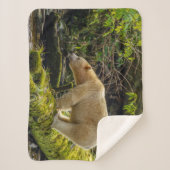 ホワイトスピリットベア シェルパブランケット (正面)