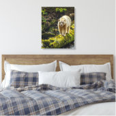 ホワイトスピリットベア |ブリティッシュコロンビア（カナダ） キャンバスプリント (インサイチュ (寝室))