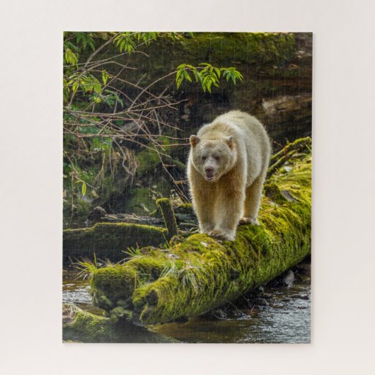 ホワイトスピリットベア |ブリティッシュコロンビア（カナダ） ジグソーパズル (縦)