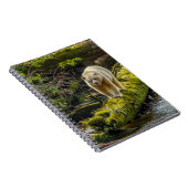 ホワイトスピリットベア |ブリティッシュコロンビア(カナダ) ノートブック (右側)