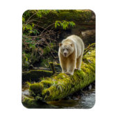 ホワイトスピリットベア |ブリティッシュコロンビア(カナダ) マグネット (縦)