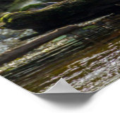 ホワイトスピリットベア ポスター (角)