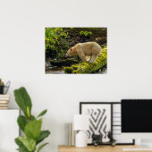 ホワイトスピリットベア ポスター (ホームオフィス)