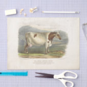 ホワイトスポテッドカウエフエメラデクページヴィンテージファーム 薄葉紙 (クラフト)