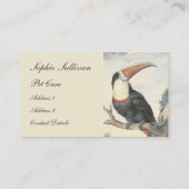 ホワイトスロートのアメリカ·トゥーカン·ヴィンテージ·ウォーターカラー 名刺 (裏面)