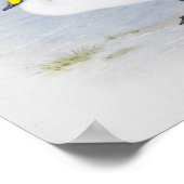 ホワイトスワンズバードイラストレーション ポスター (角)