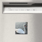 ホワイトスワン磁石 マグネット (インサイチュ (食洗機))