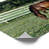 ホワイトソックス付き放牧ベイ ポスター (角)