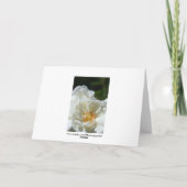 ホワイトソフトバラ結婚のグリーティングカード カード (裏面)