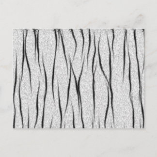 ホワイトタイガーのテクスチャ ポストカード