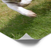 ホワイトタイガーのポスタカスタマイズー ポスター (角)