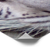 ホワイトタイガーフレームプリント ポスター (角)