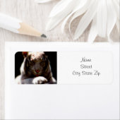 ホワイトタイガーミラージュ ラベル (インサイチュ)