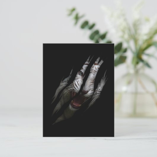 ホワイトタイガー引き裂かれたクローワイルドサファリアニマルキャット ポストカード (スタンド正面)