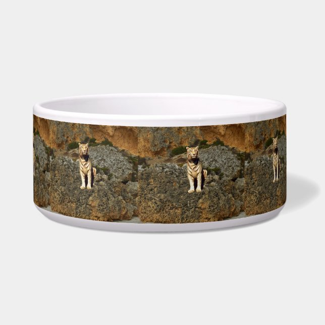 ホワイトタイガー監視所,    ボウル (正面)