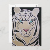ホワイトタイガー葉書2 ポストカード (正面/裏面)