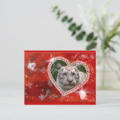 ホワイトタイガー葉書 ポストカード (スタンド正面)