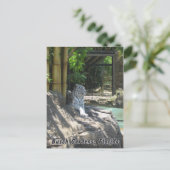 ホワイトタイガー葉書 ポストカード (スタンド正面)